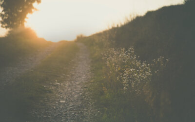 Clarity Is Contagious | Why Executive Presence Matters More Than Strategy