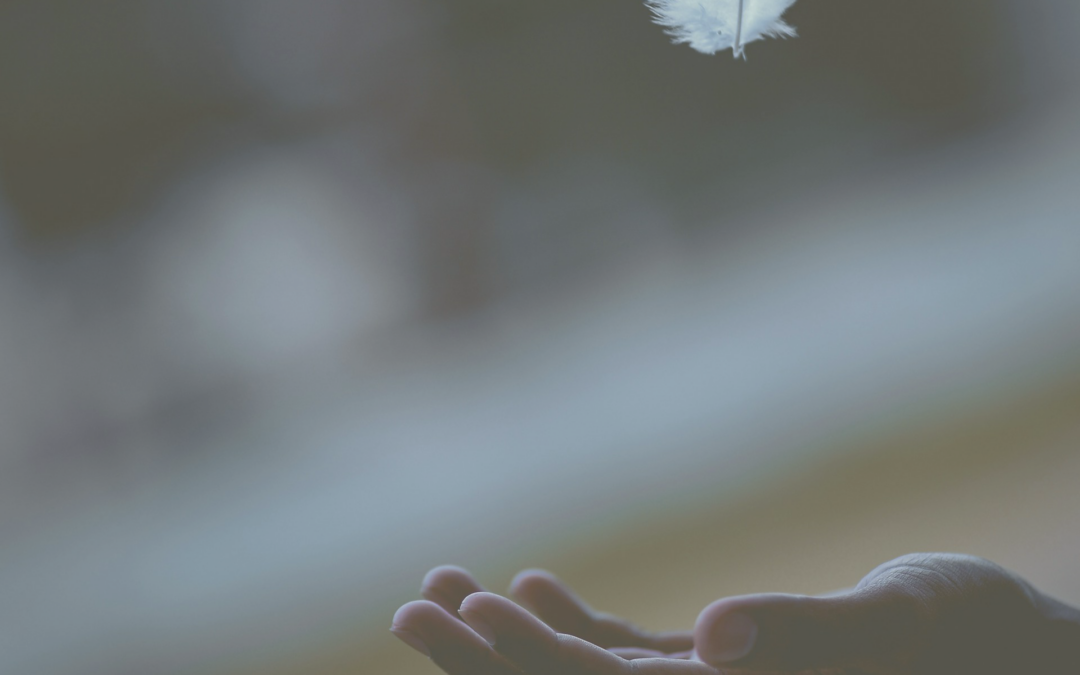 The Quiet Power of Peace | Leadership Beyond Performance